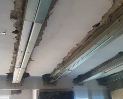 Untitled design - 1 Untitled design - 1